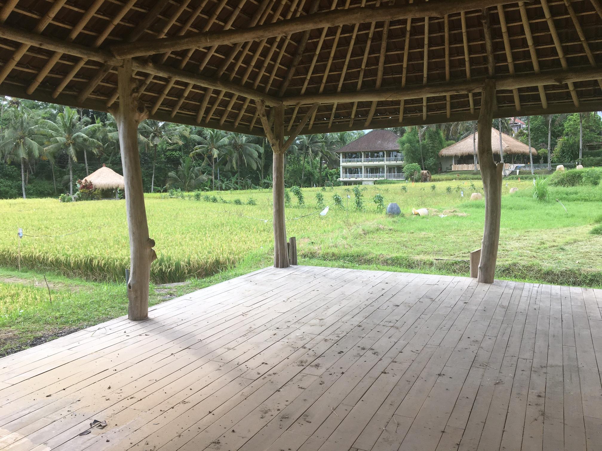 Mathis Retreat Ubud Hotel Exterior photo